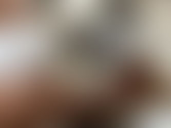 Gobierno Municipal amplía programas de bienestar animal con jornadas gratuitas en colonias de Puebla