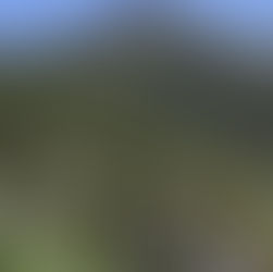 Armenta refuerza la protección ambiental en Puebla con nuevos Ecoparques y proyectos sustentables