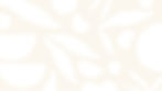 Pattern-Background_FULL.jpg