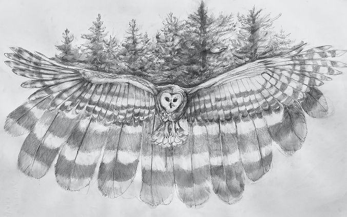 SilentFlight drawing.jpeg