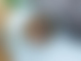 LES FLEURS ODORANTES : DÉCOREZ ET PARFUMEZ VOTRE INTÉRIEUR