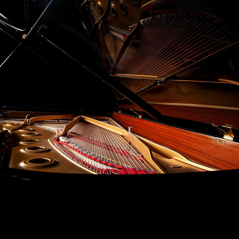 High definition depiction of the strings and mechanisms inside a grand piano.