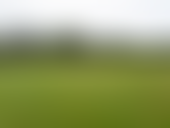 Teens' Summer Sessions