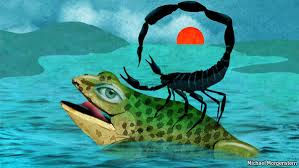 an illustration of a scorpion sitting on the back of a frog