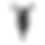 Miniatura: Pulsar NS 200 UG