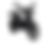 Miniatura: Pulsar NS 160 UG