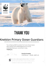 Screenshot 2025-10-13 112831.png