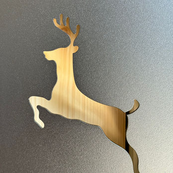 Ferienwohnung in Arosa