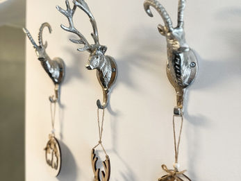 Ferienwohnung in Laax