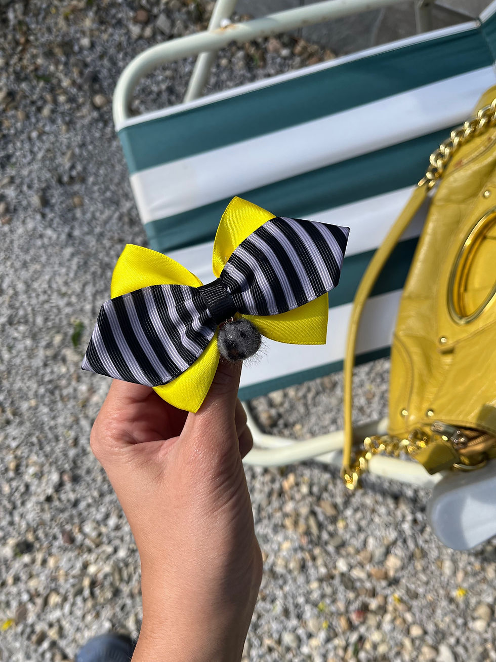 Миниатюра: Брошка Виктория