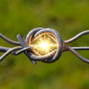 AI is the New Number 8 Wire. Why Are We Leaving it in the Shed?