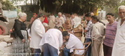 IMG20241110112810