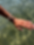Miniature : PALAWAN
