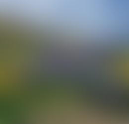 Earth Day & Arbor Day