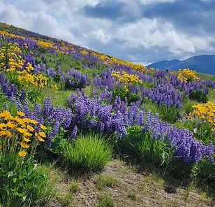 Earth Day & Arbor Day