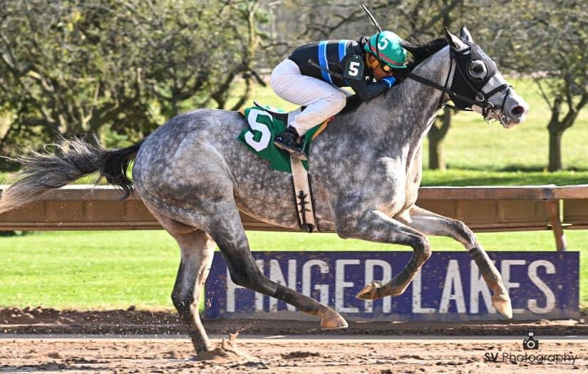 Still a Soldier at Finger Lakes