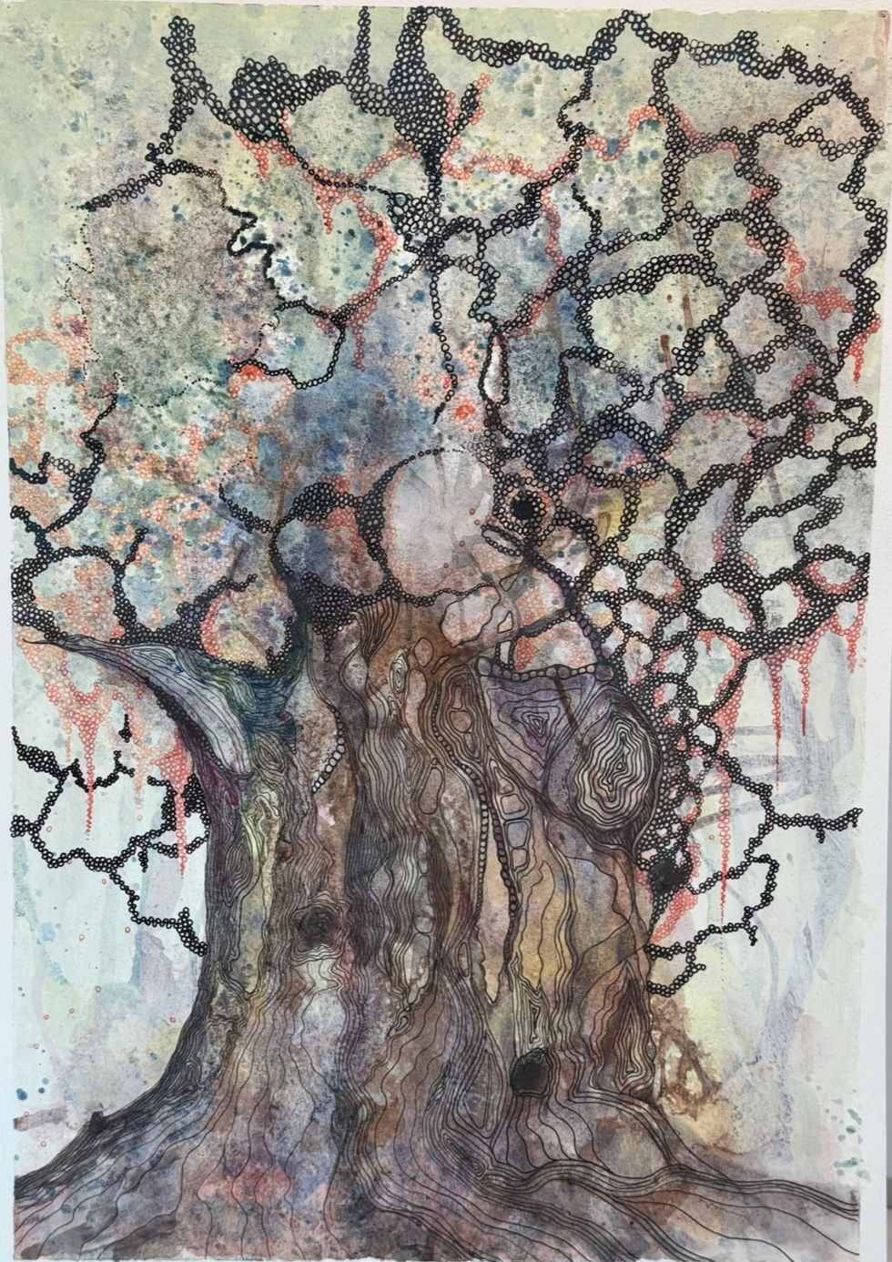 Ancient tree