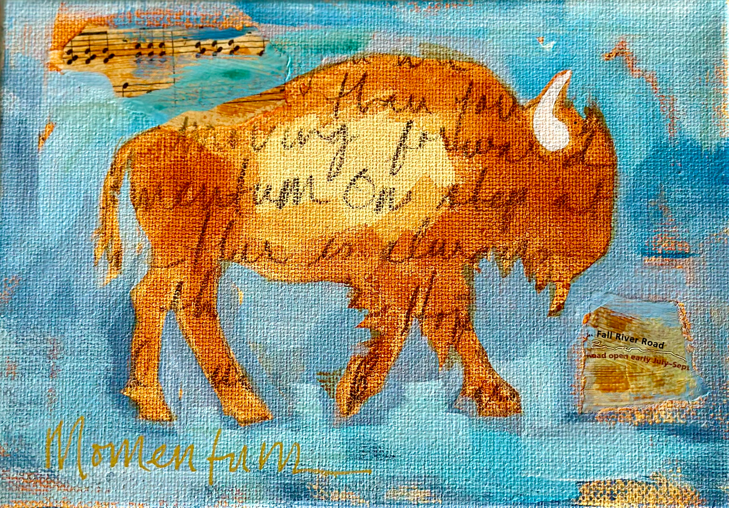 30 Buffalo #6