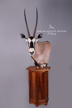 Gemsbuck Floor Pedestal