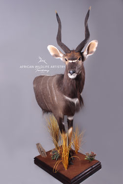 Nyala Half Mount