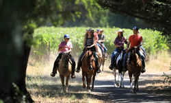 Sonoma Trail Rides