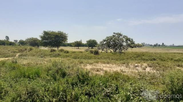 Miniatura: VENDO TERRENO AGRICOLA DE 5.3 has EN INDEPENDENCIA - PISCO (KM 14 VIA LOS LIBERT