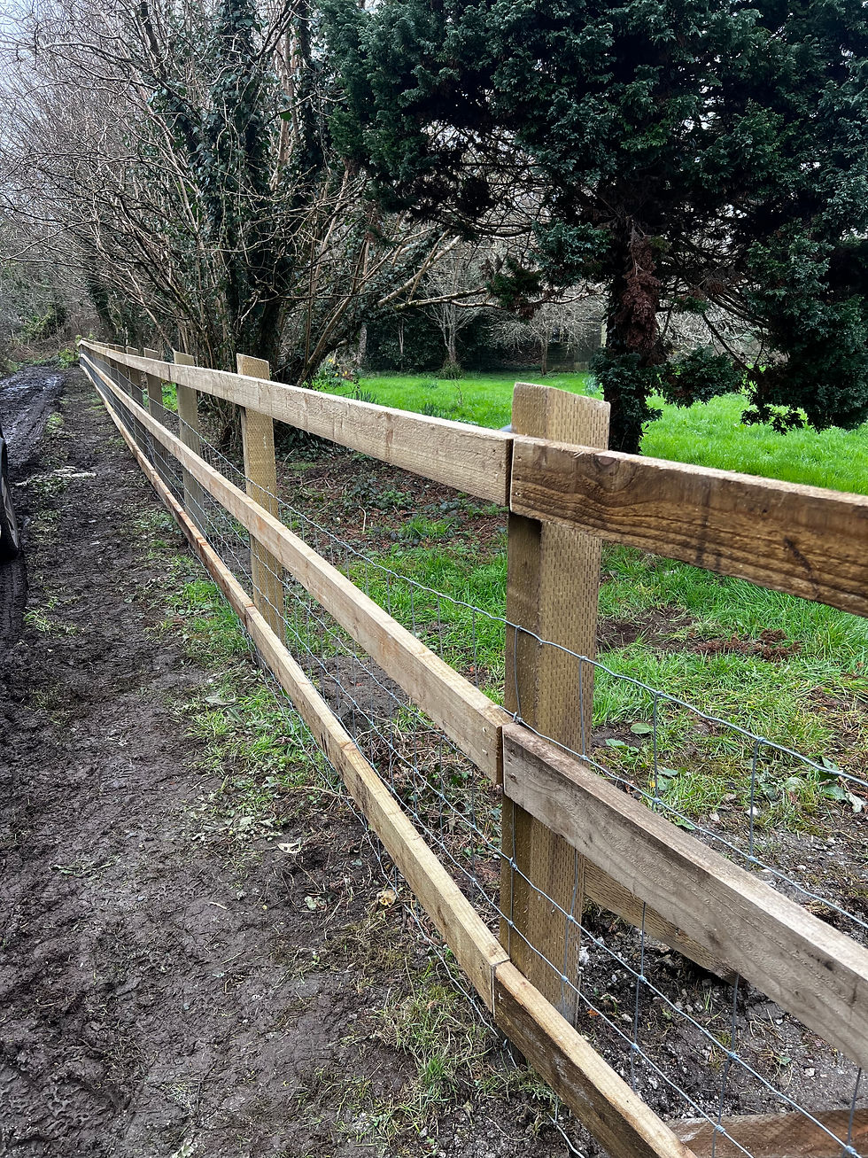Post & Rail with Stock Netting