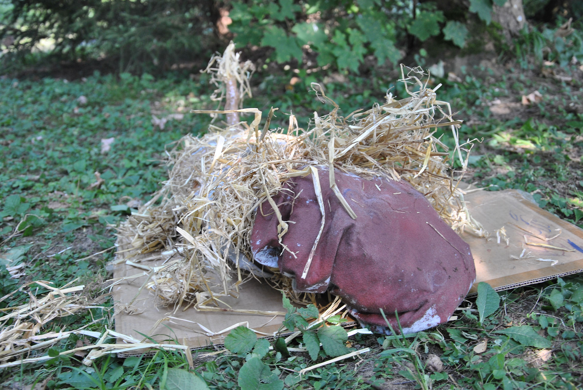 DSC_1331