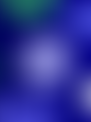 Dissecting Win Rate: What the poll reveals about sales measurement