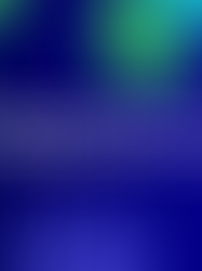 MEDDPICC: The Critical Role of the Economic Buyer