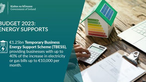 Tánaiste & Minister Donohoe welcome State aid approval for Temporary Business Energy Support Scheme