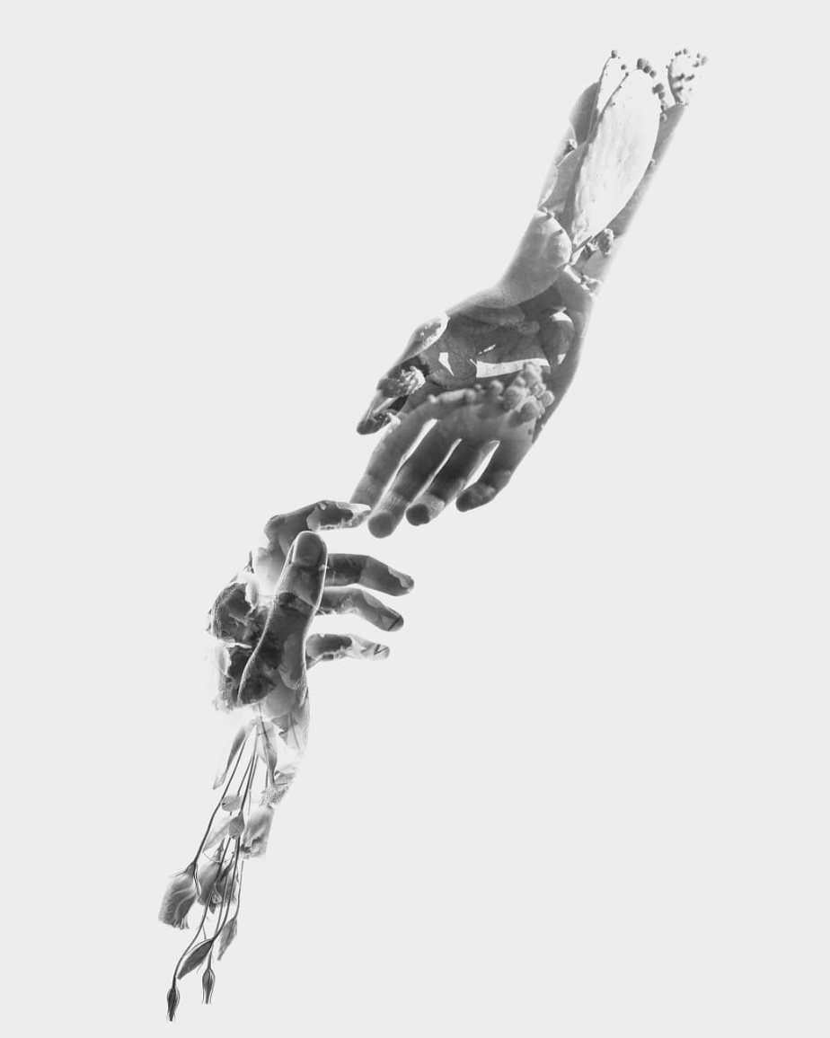 Screen Shot 2018-10-24 at 11.03.52 AM