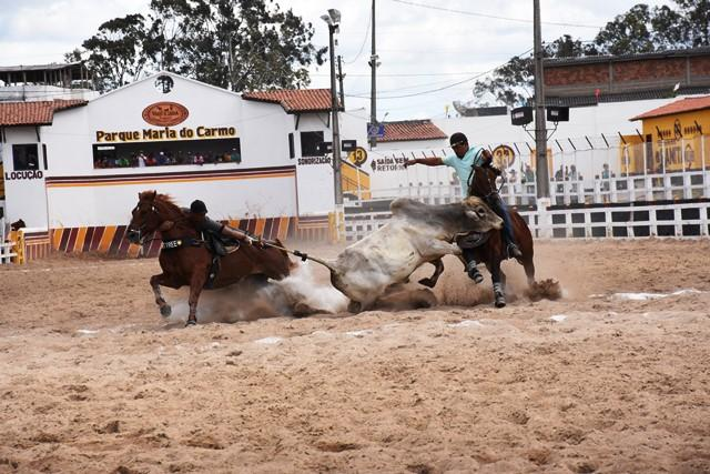 Dois peões derrubam um boi em arena de terra no Parque Maria do Carmo, com poeira levantada e ação intensa.