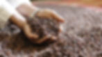 ROASTED COFFEE BEANS