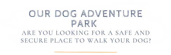 Our secure dog adventure park, based in Cwmbran, South Wales. Perfect for off lead play.