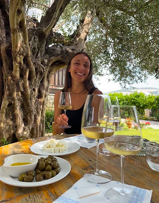 Best Wine tasting in Berat, Albania
