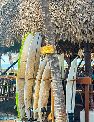 Surfing in El Paredon