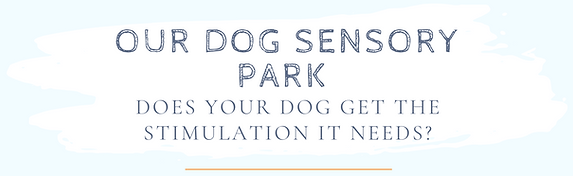 Our secure dog sensory park, the perfect place to let your dog off the lead in a secure environment.