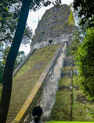 Views in Tikal, Flores