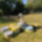 Dogs enjoying our secure dog sensory park