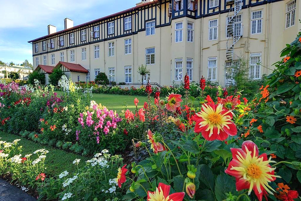 Photo - The Grand Hotel