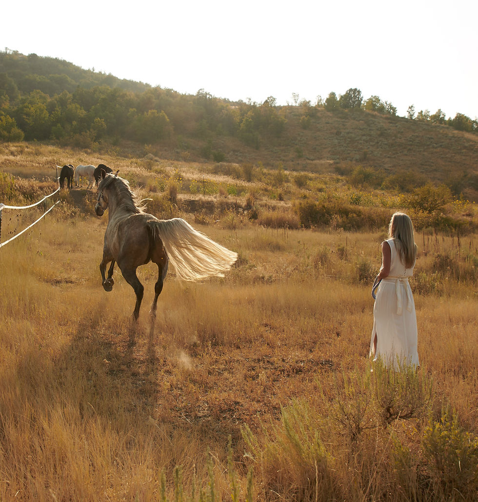 Chevalia, The Way of the Horse, Book One, Chapter 3