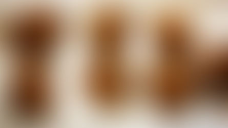 Double Chocolate energy bites