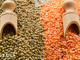 Slow-cooked Power Lentils