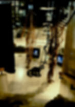 Majesty of Absence-detail