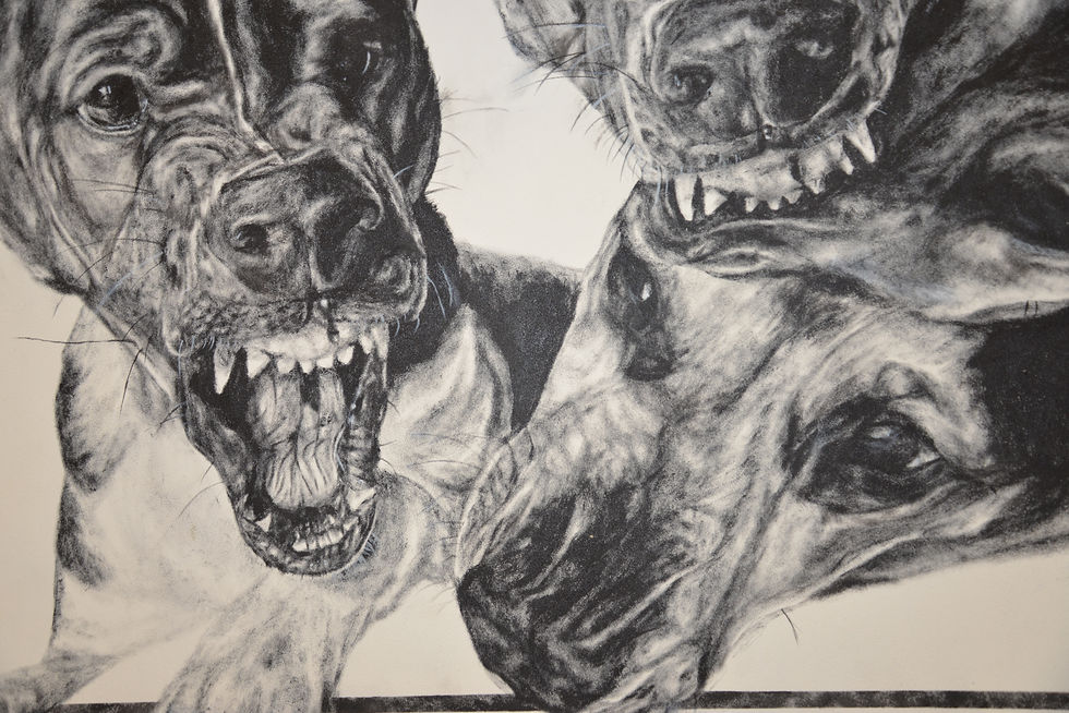 Thumbnail: “The Bark is Worse than the Bite…”