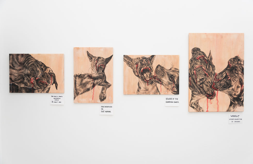 Thumbnail: “100 Dogs a Month Destroyed Since XL Bully Ban”