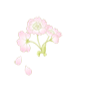 櫻茶ヤ
