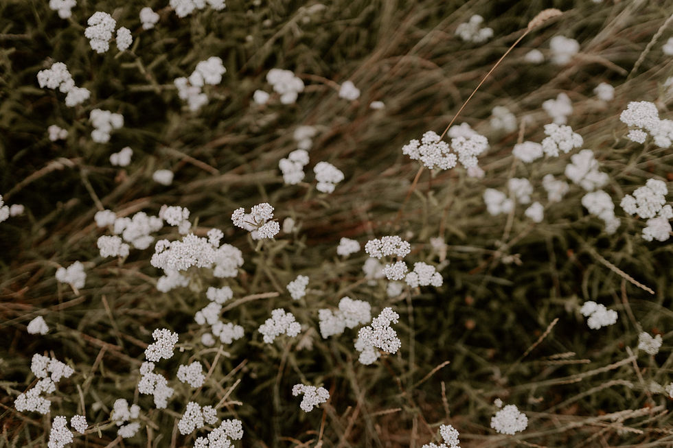 Joana Mirisphotography_038.jpg