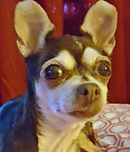 Princess Santiago